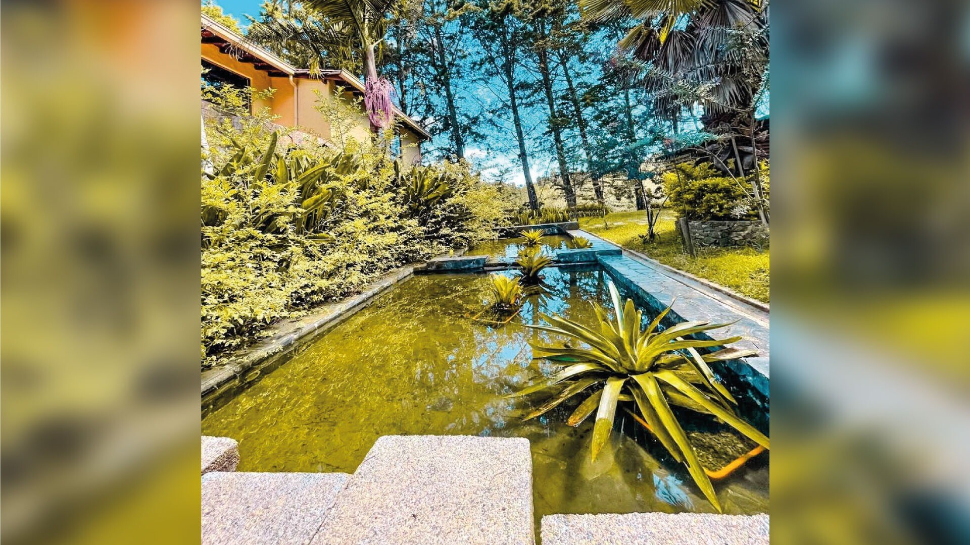 Hotel Entre Bosques Arví