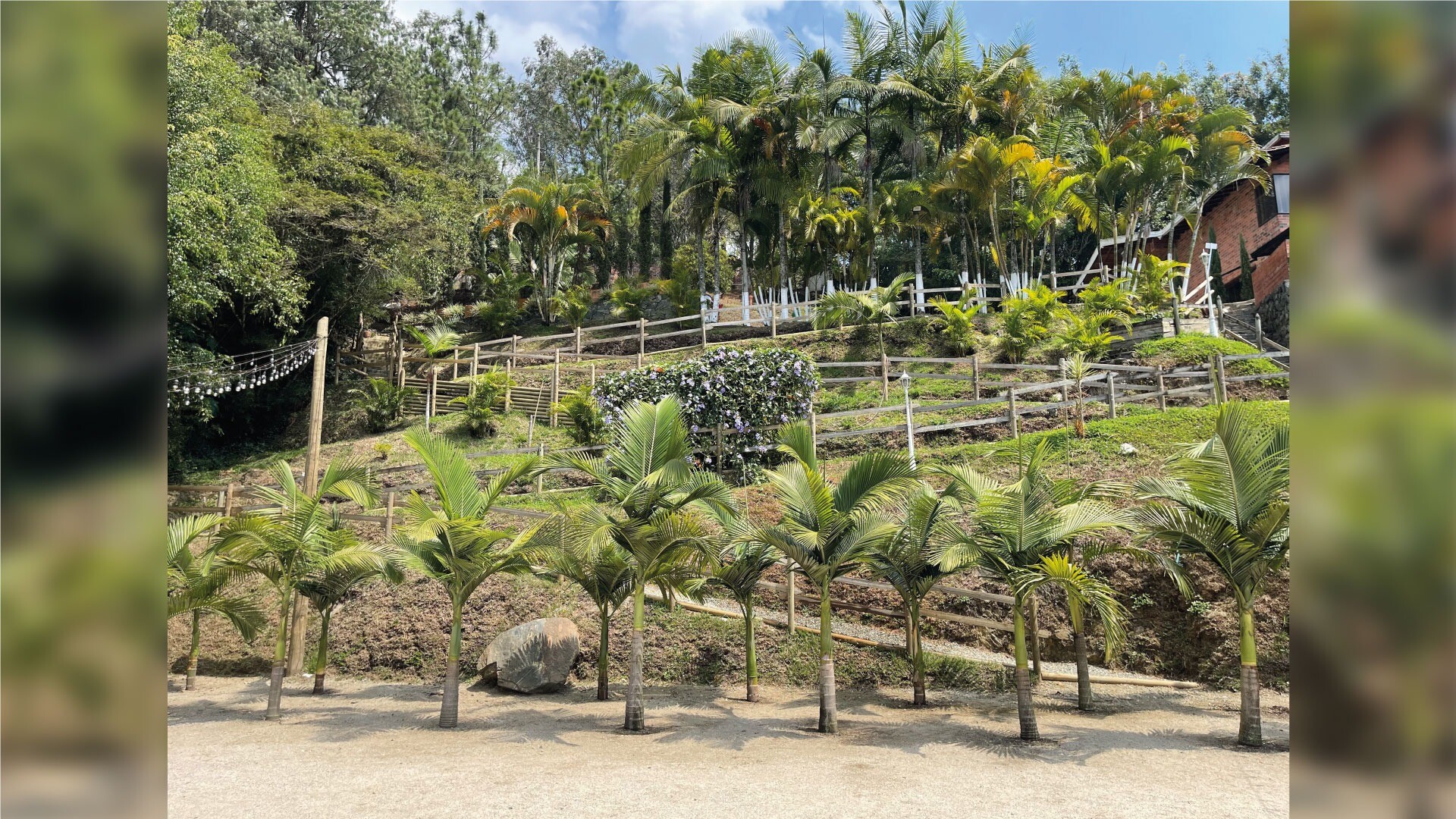 Finca Los Cardos