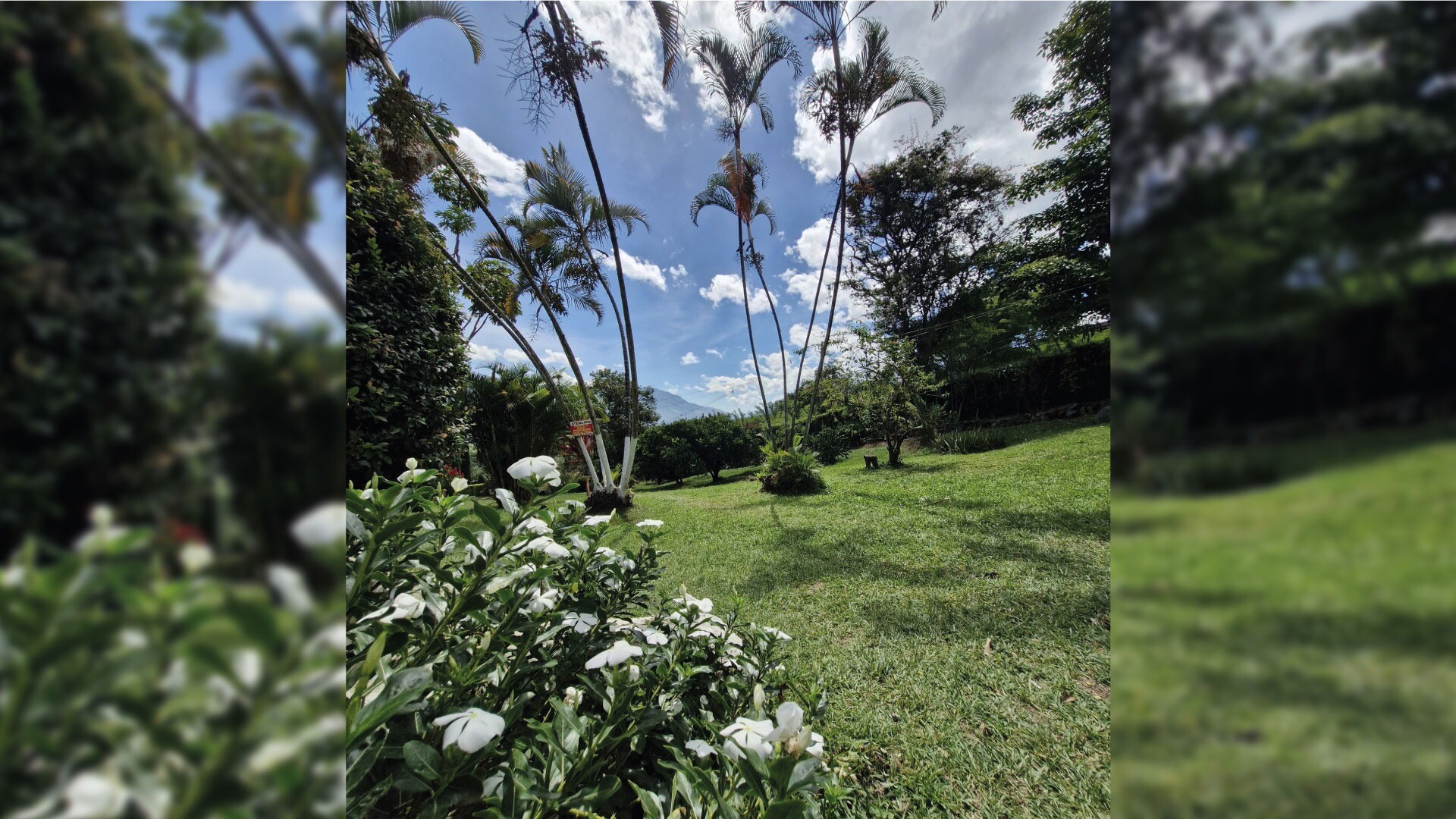Finca Ávila