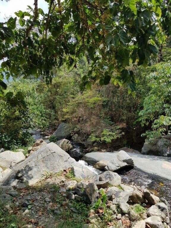 Finca La 63