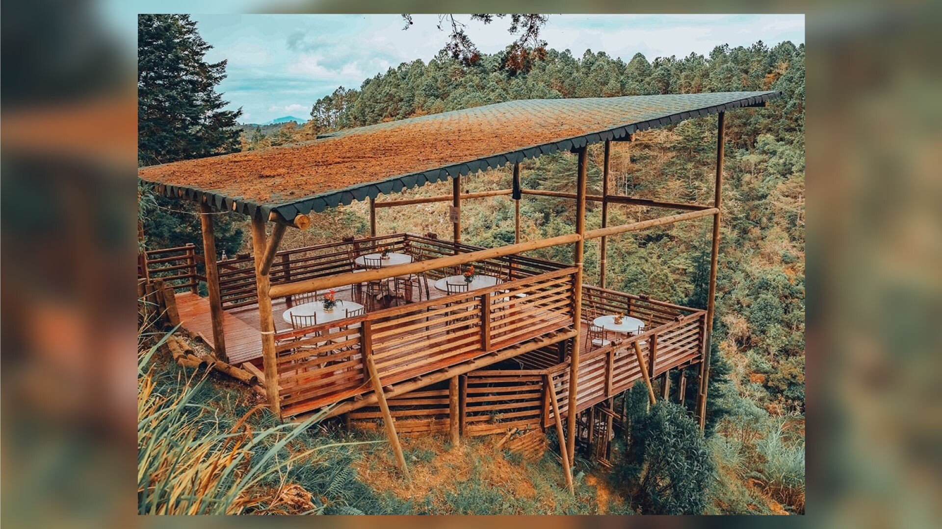 Hotel Entre Bosques Arví
