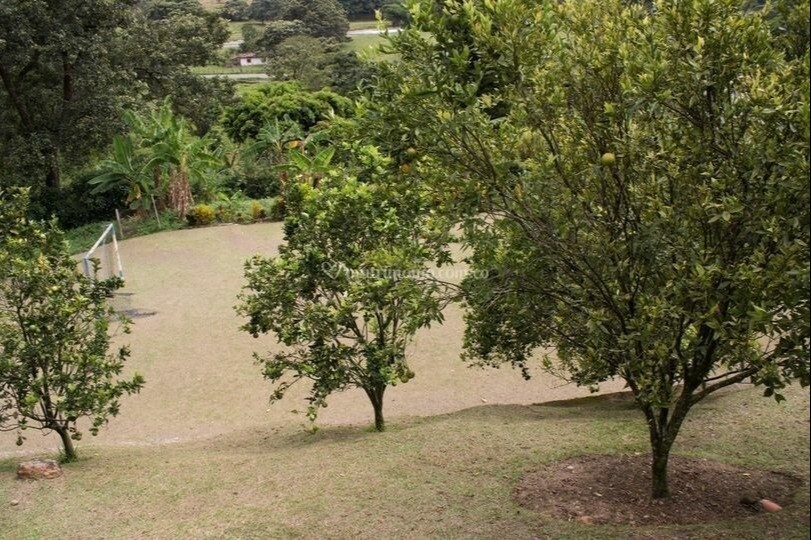 Fincas del Marqués