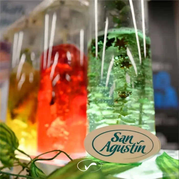 Eventos empresariales · Tu San Agustín