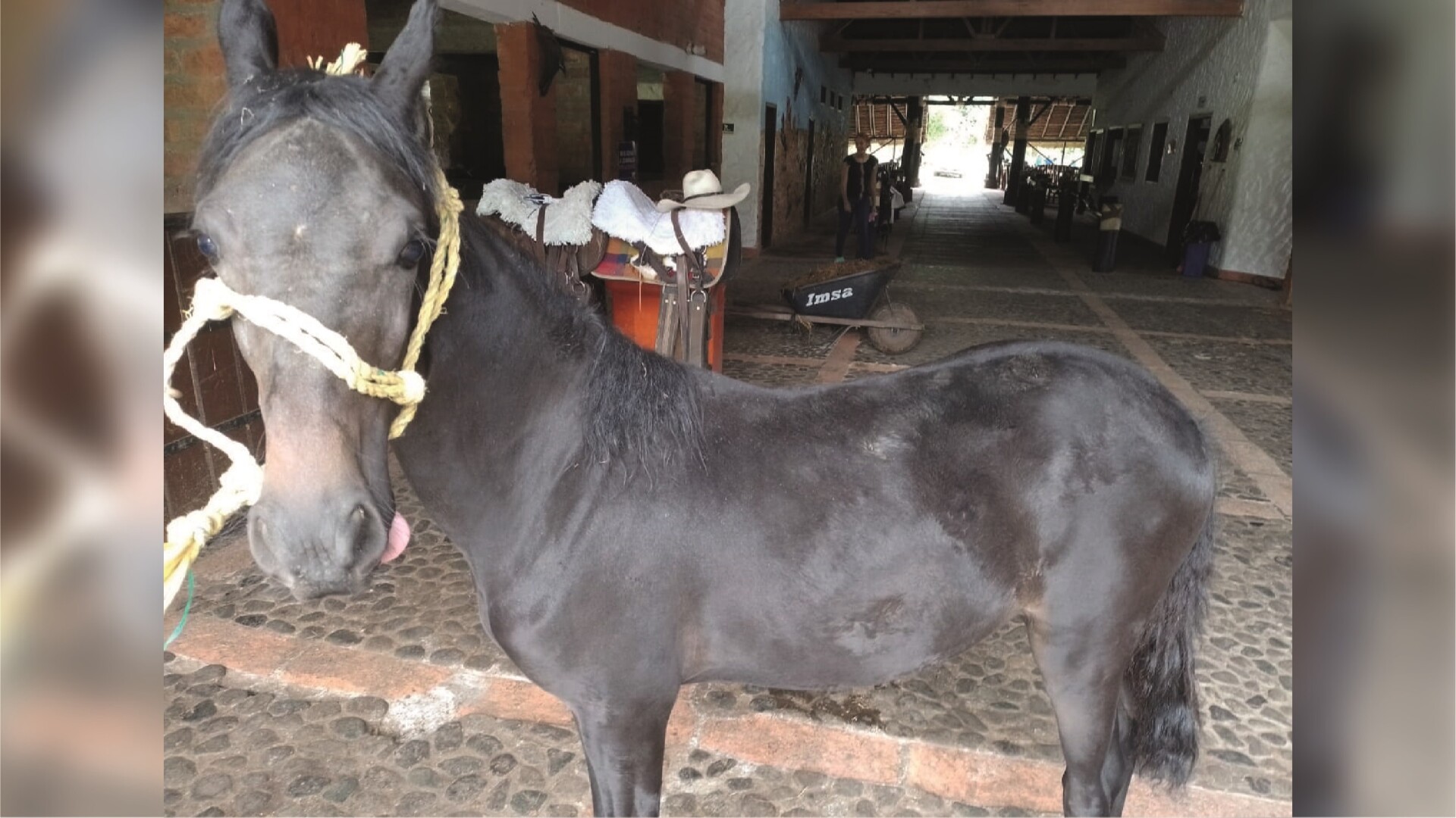 Hostería Rancho La Maloka