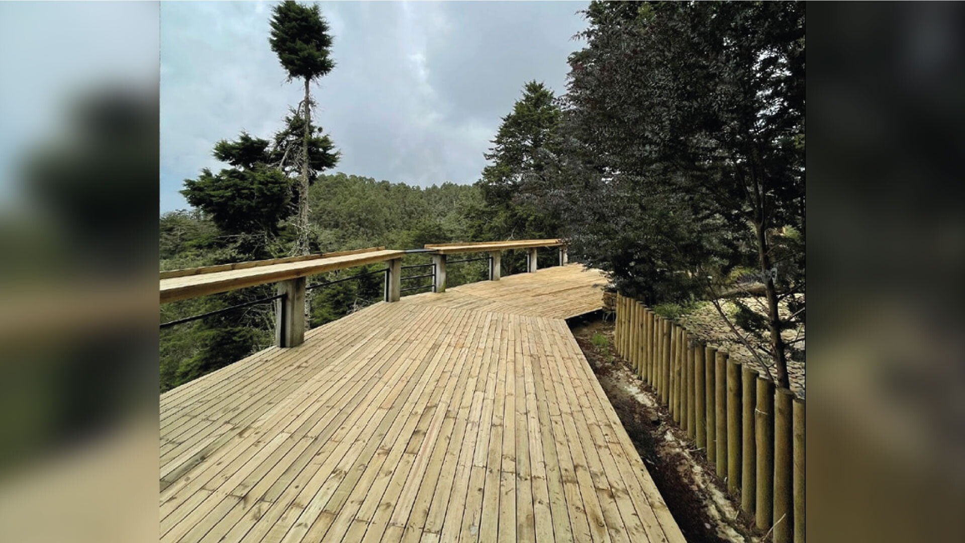 Hotel Entre Bosques Arví