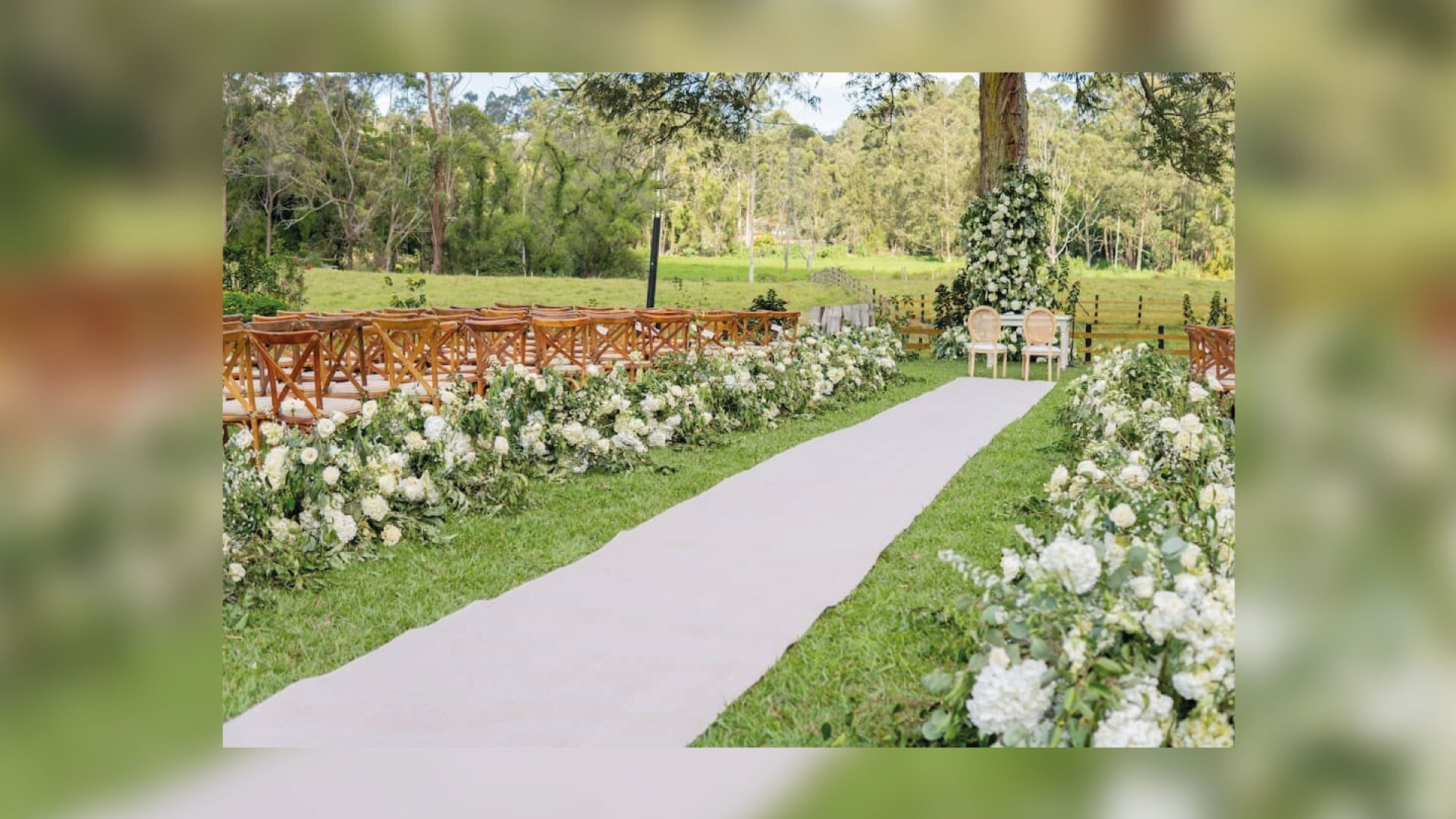 Monarch Campestre