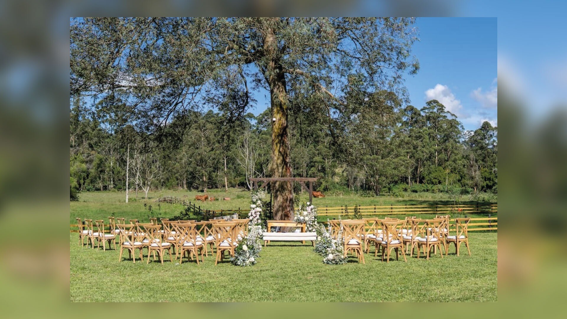 Monarch Campestre