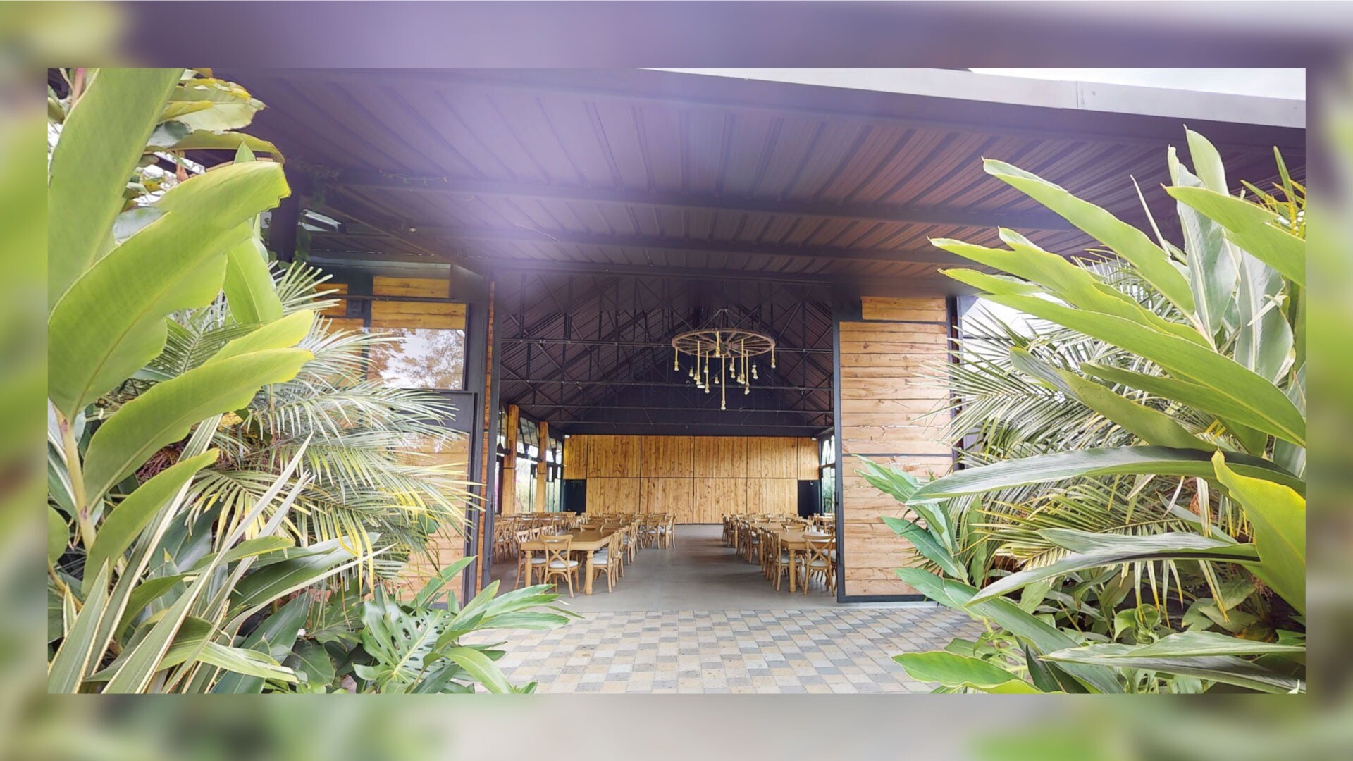 Monarch Campestre