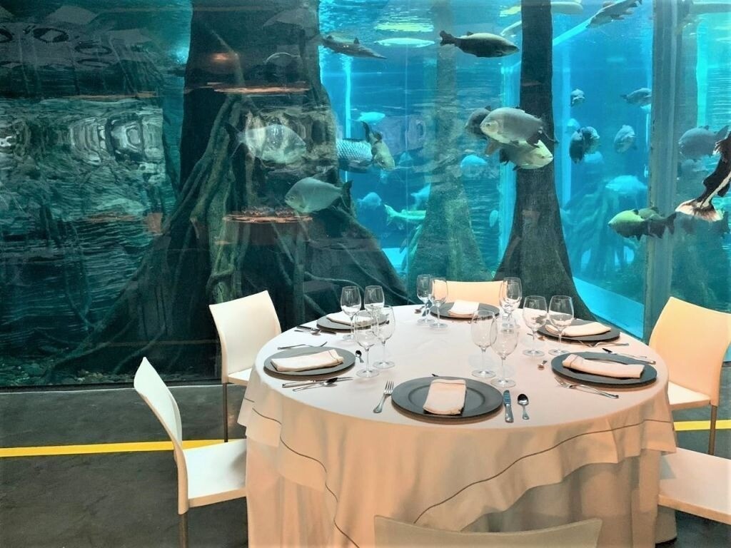 Parque Explora