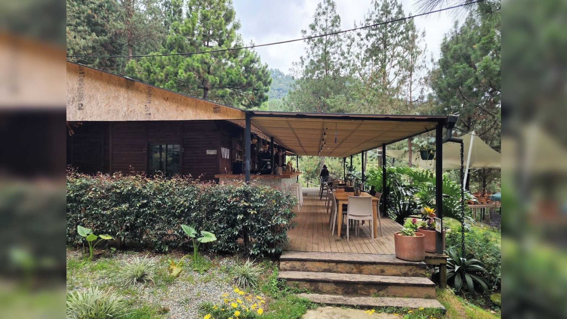 Interior de Sagrado MDE