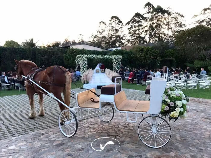 Carros Antiguos · Tu San Agustín