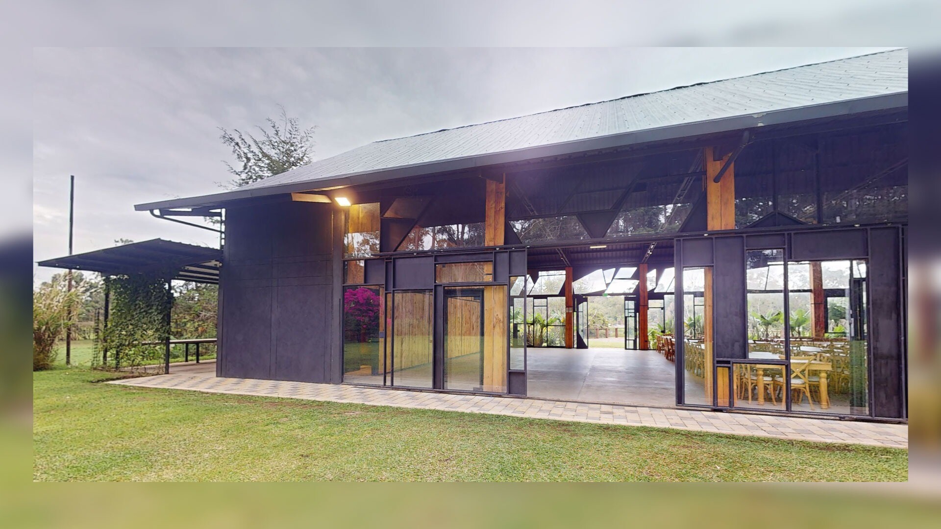 Monarch Campestre
