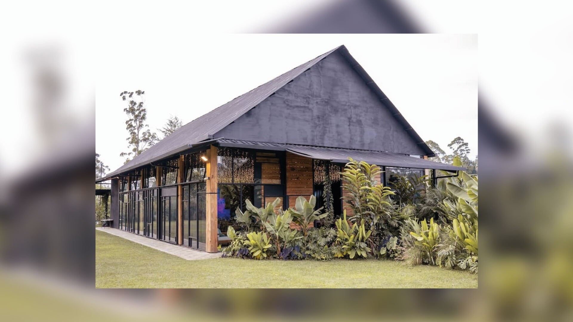 Monarch Campestre