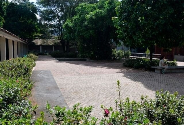 Interior de Patio de las Azaleas - Jardín Botánico
