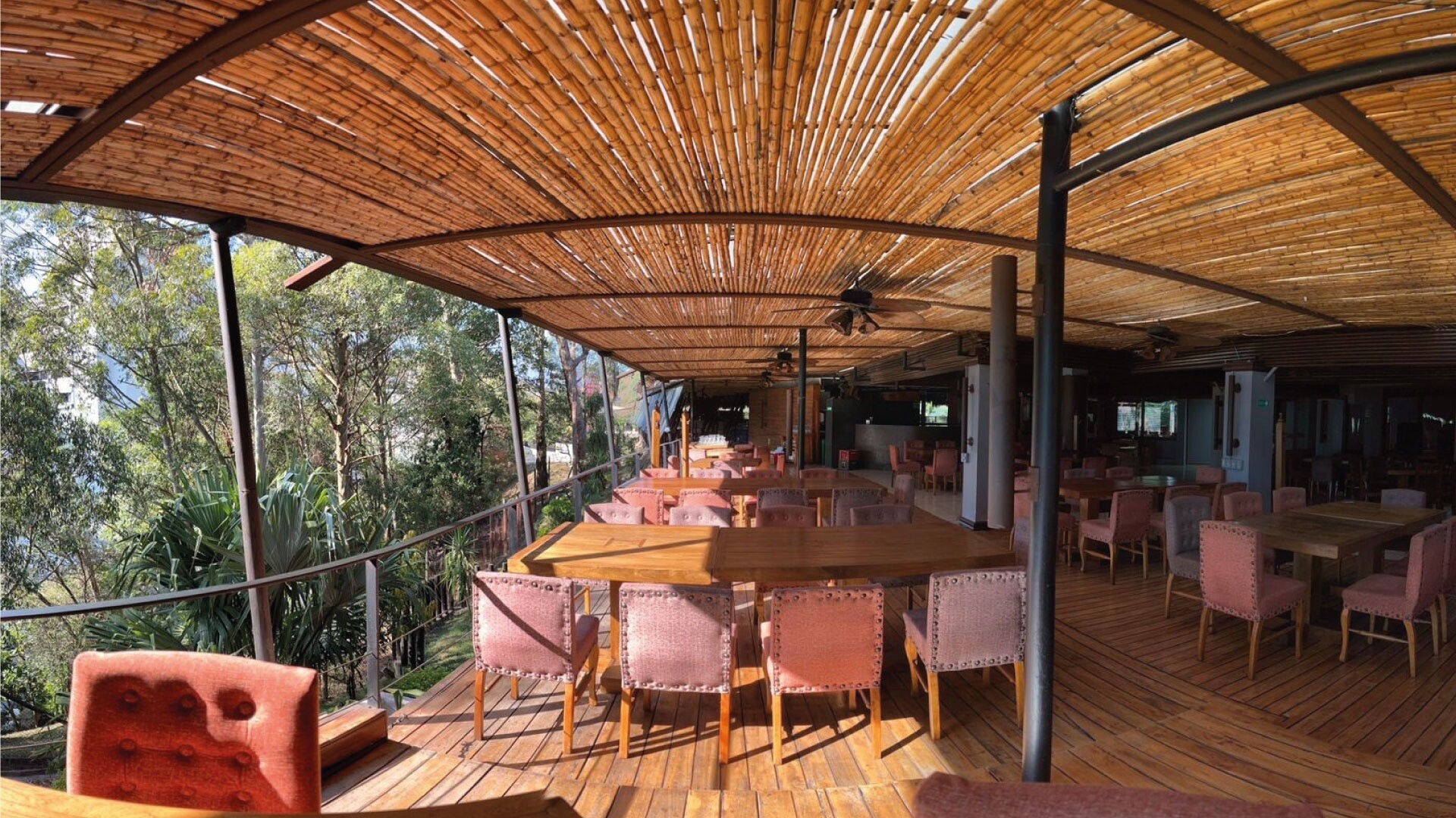 Interior de Angus Brangus