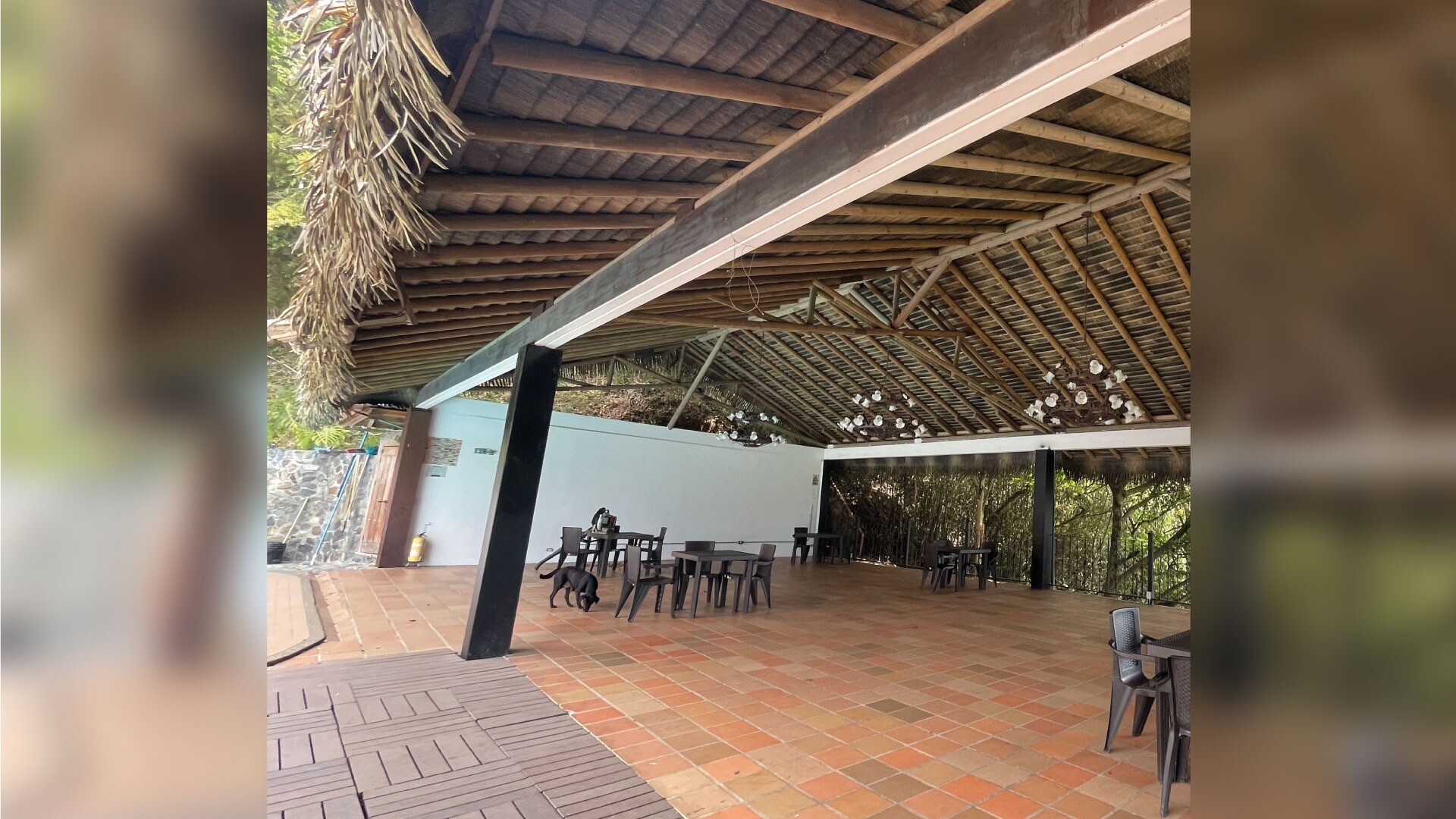 Finca Los Cardos