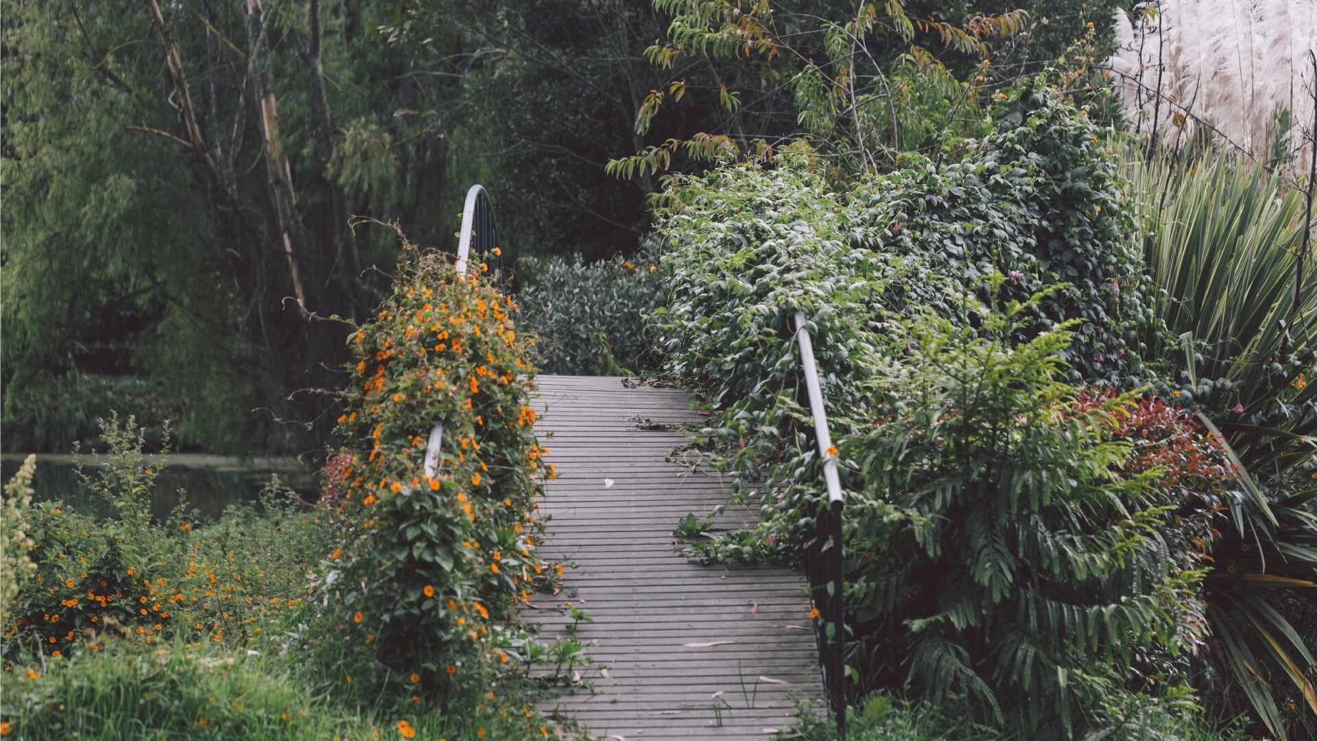 Hacienda Pozo Chico