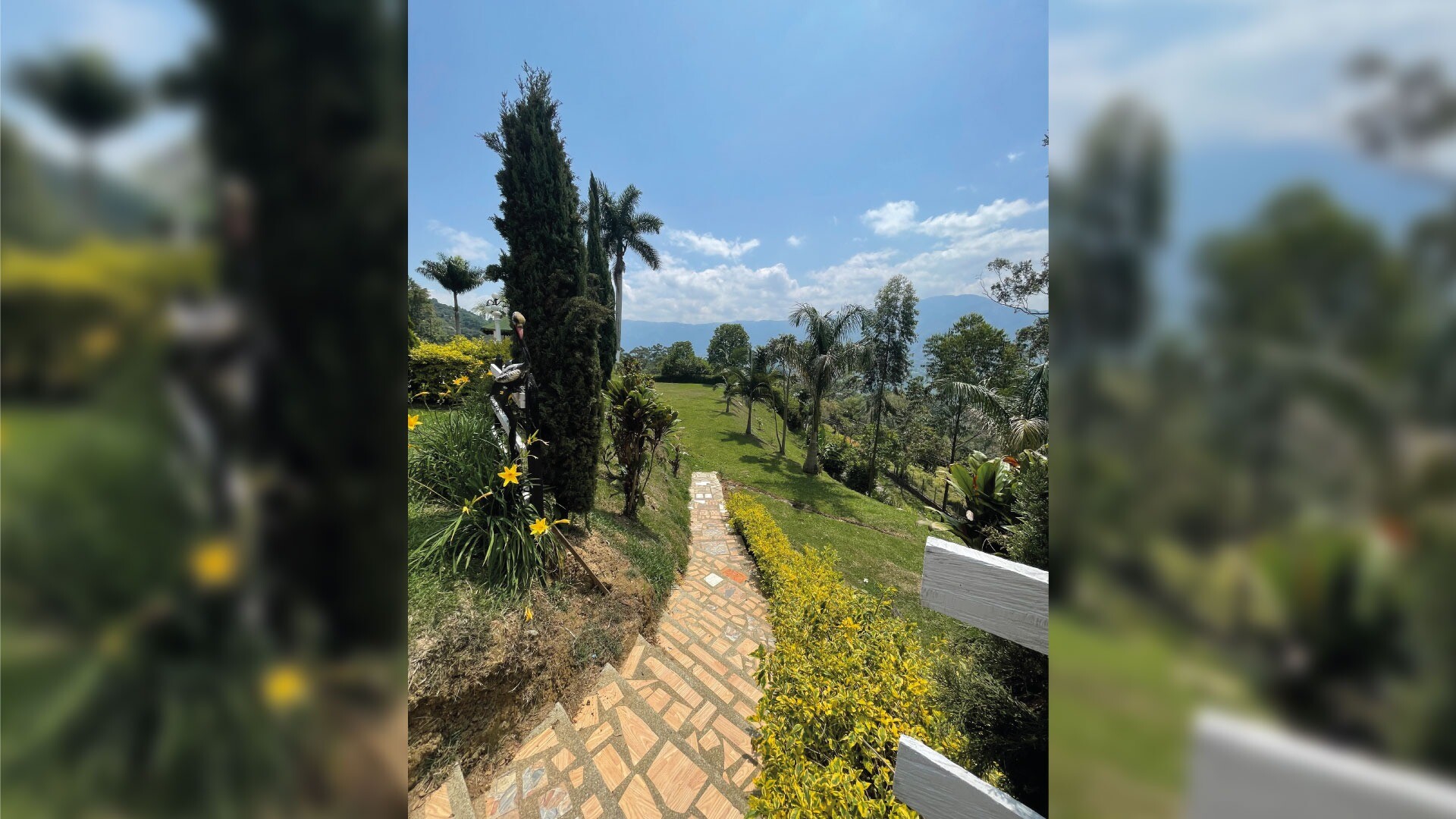 Finca La 57