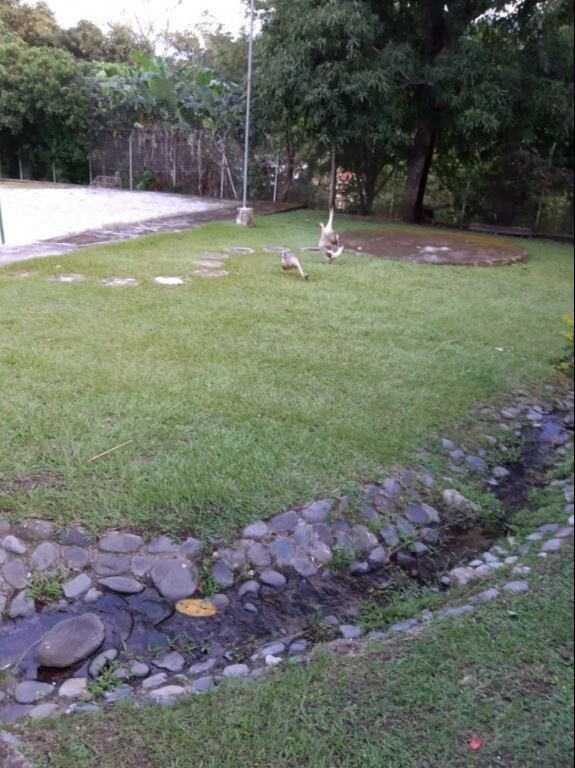 Villa Alejandra