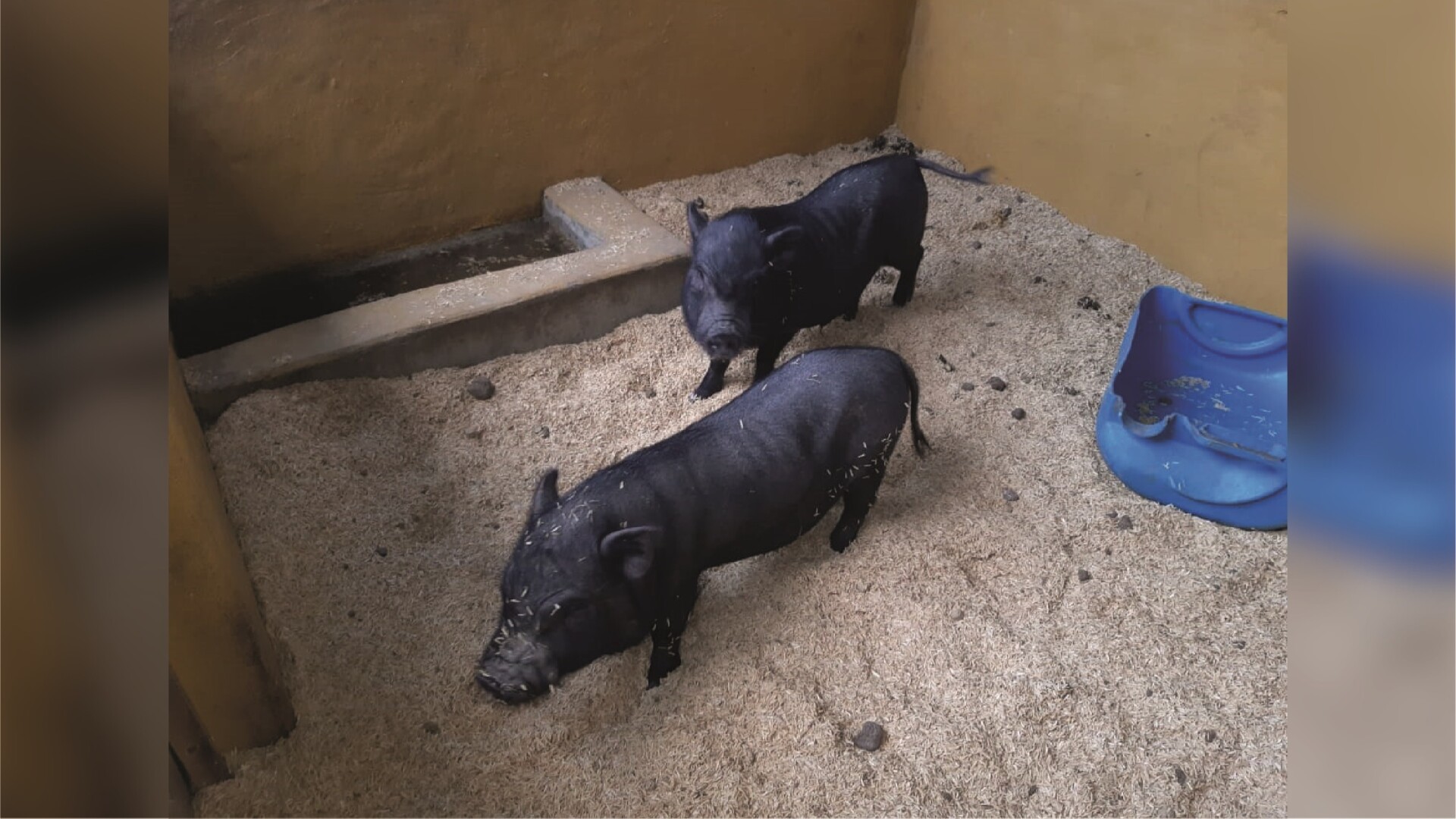 Hostería Rancho La Maloka
