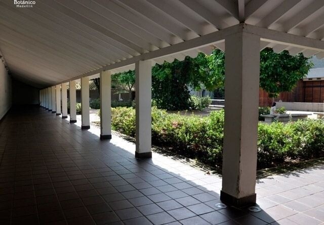Patio de las Azaleas - Jardín Botánico