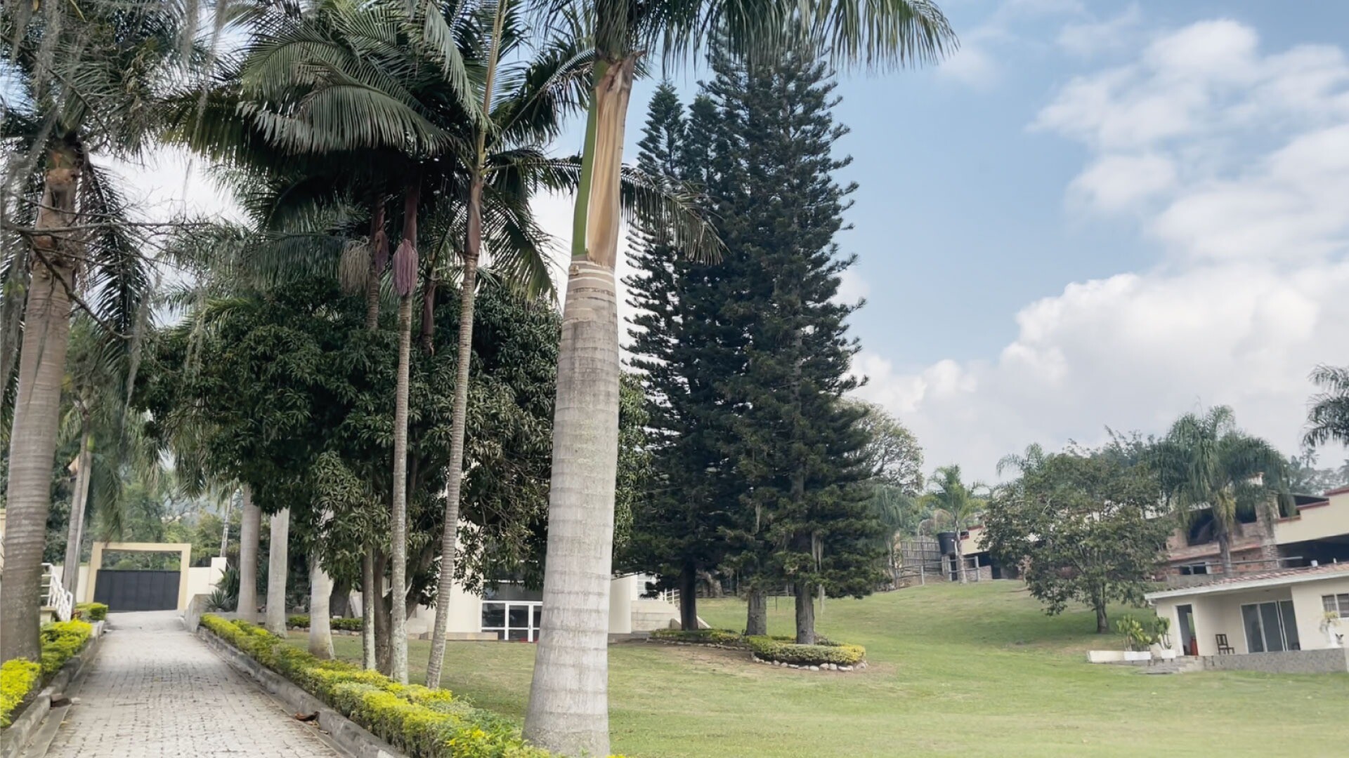 Centro de Eventos Santo Coyote: Casa Blanca