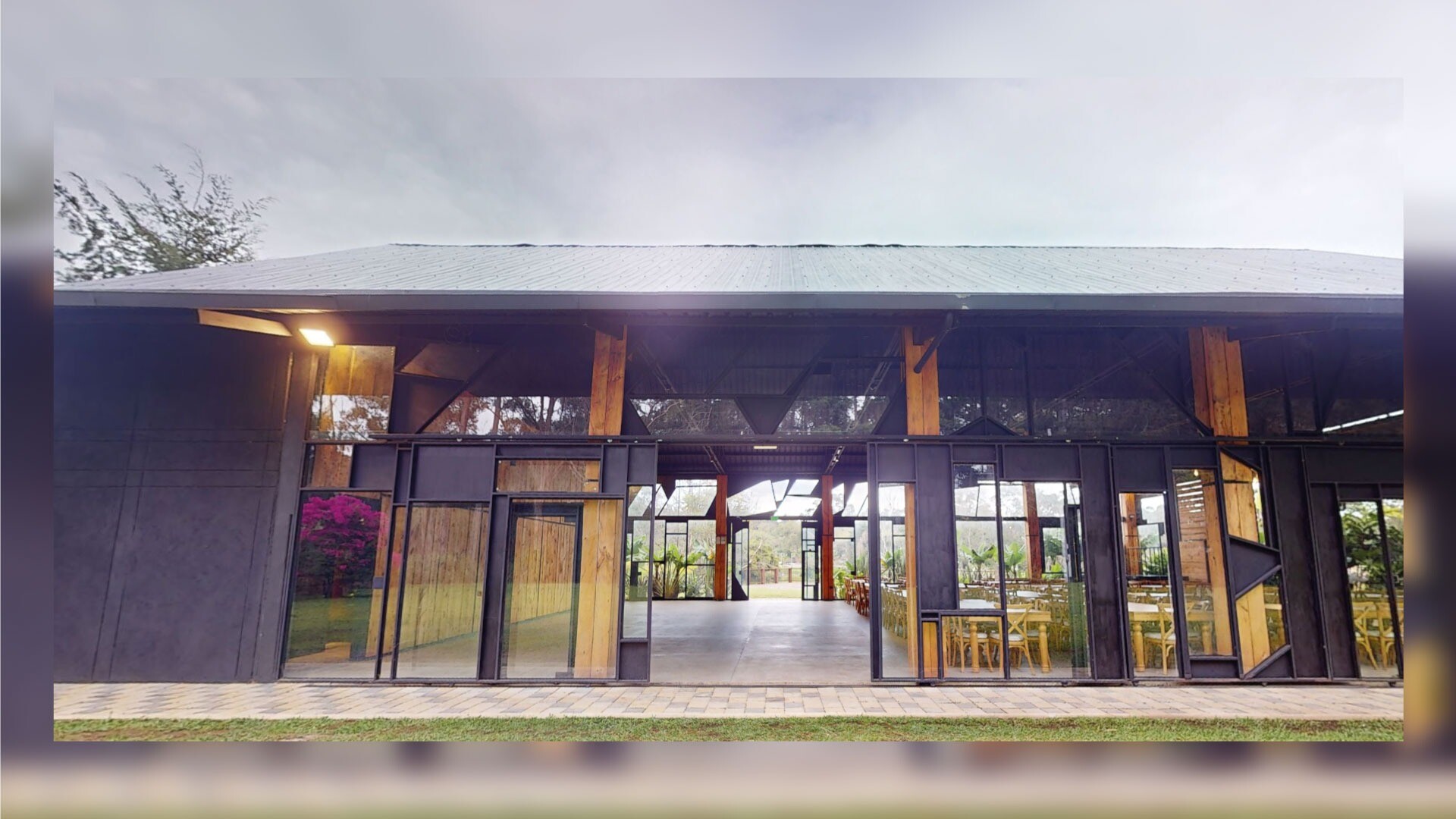 Monarch Campestre