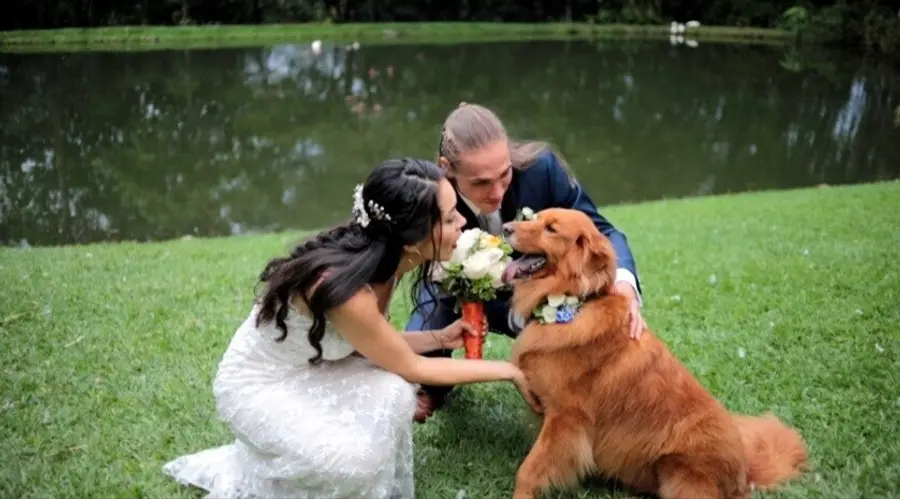 BODAS CON MASCOTAS