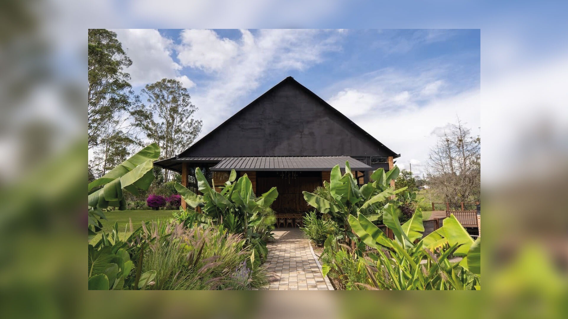Monarch Campestre