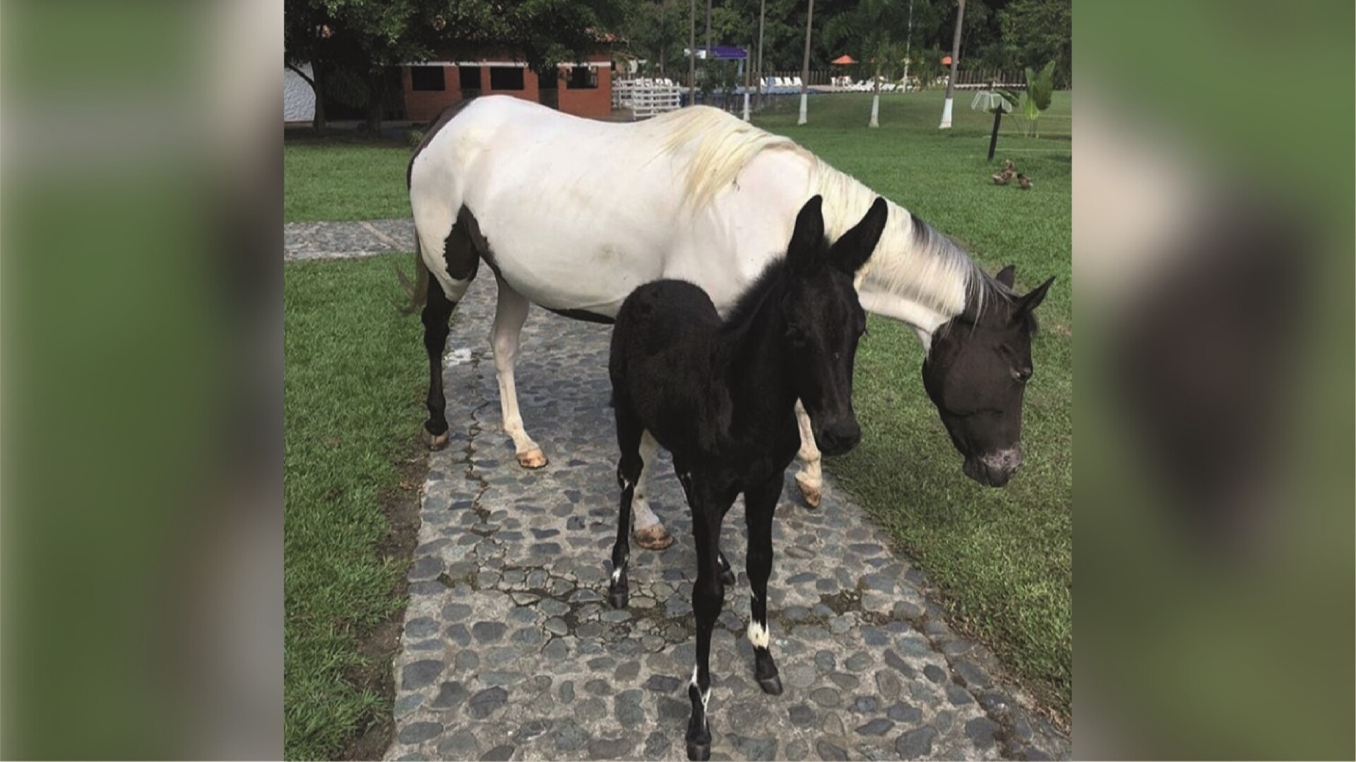 Hostería Rancho La Maloka
