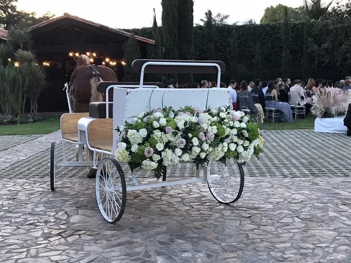 Carros Antiguos · Tu San Agustín