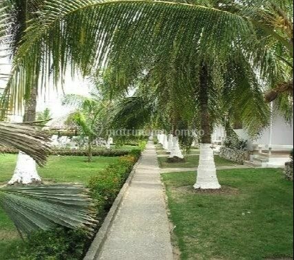 Hotel Playa Blanca